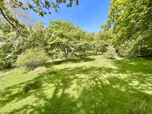 Photo 33- click for photo gallery